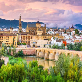 ����� ������ ������ ����� ��������� ��������� �������� ���������