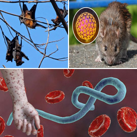 ��� ����� ��������� �� ��������� ��� ����ѿ