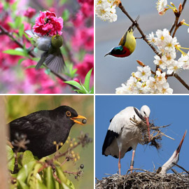 ��� �����: ����� ������ 