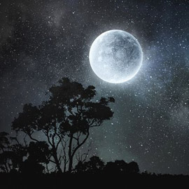 ����� ���� �������� ���������� �������� ������� �� ���� ������ �����