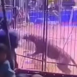 ��� ���� �� ���� ���� �� ���