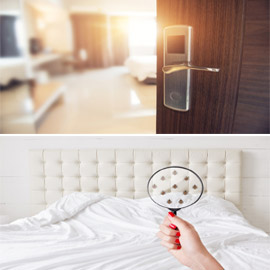 ����� ������� ��� ������� ��� �����.. ���� 10 ����� ���� �������