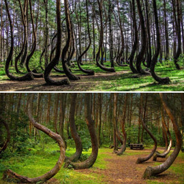 ���� ������� ��������.. ����� ������ ���� ����� ������! ���