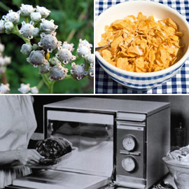 ������: ������ ��� ���� �������� ��������� ����� ������� �������