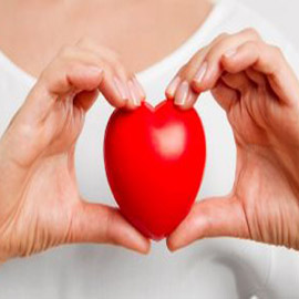 5 ����� ���� ��� �����