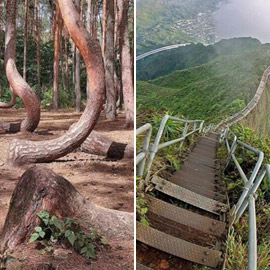 ����� ����� ������� ��������.. ����� ���� ������� �������� �� ������