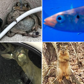 10 ��� ����� �������� �� �������� ������� �� �� ����� ���� ������