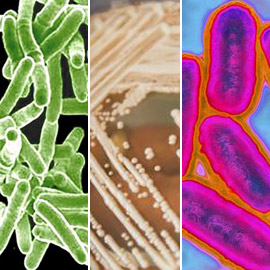 ������ ��� ���� �������� ���������� ������� ��������� ������� ��  ..