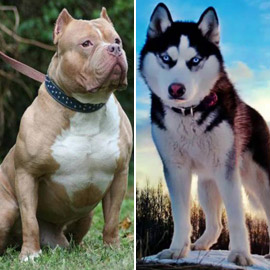 ���: ������ ��� ���� ����� 5 ���� ��� ������