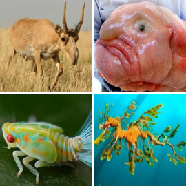 ������: ������ ��� ���� 10 ������� �� ������ ���� �� ������!