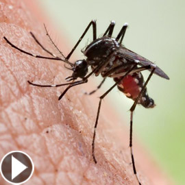 �����: ���� 5 ������� ����� ������� ��� ������ ������ ������� ����