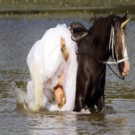 ���� ����� ������ ��� ������... ����� �� ���� ���� �����!