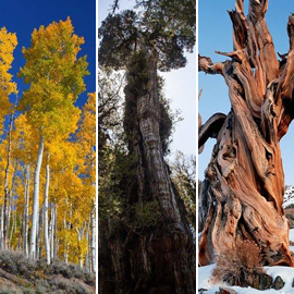 ����� ���� �������... ���� ��� ���� 10 ����� �� ������!