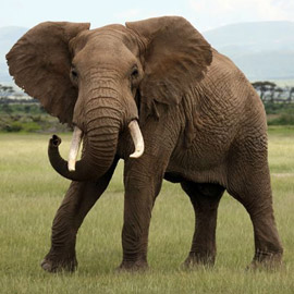 ����� 8 �� ���� ������� �������� �� ������� ������ ������