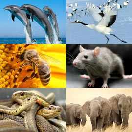 ����� �����: ������� ������� ��� ����� ������ ����� ��� ������!