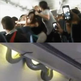 5 ����� ����� ������� ���� �� ������ ����� ����� ������!