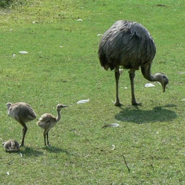 ����� �������.. ������ �� ��������� �� ����