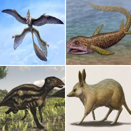 ������: ������ ��� 12 �� ���� ������� �� ��� ������� �������