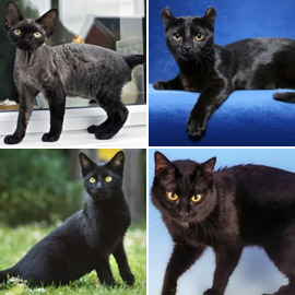 ����� �� ��������.. ����� 10 �� ����� ����� ������� ������� ��������