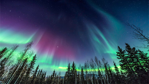 كثيرون يدّعون سماع أصوات ناتجة عن الشفق القطبي.. ما حقيقتها؟