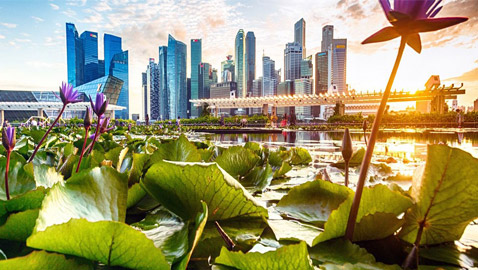 سنغافورة: ماذا نتعلم من البلد الآسيوي المولع بالنظافة لدرجة حظر العلكة؟