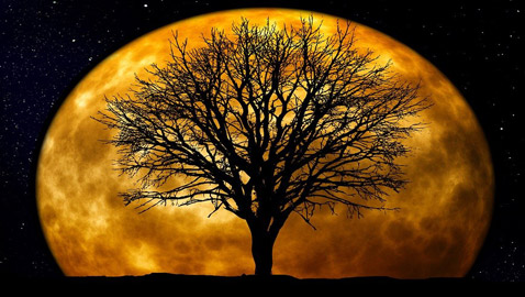 ما تفسير ظاهرة القمر الوهمي العملاق الذي رآه البشر ولم ترصده الكاميرات؟