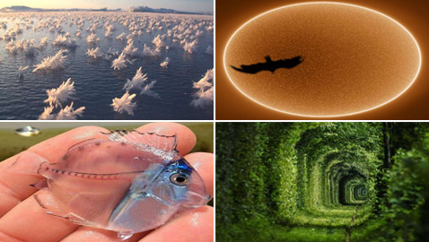 إليكم صور نادرة تظهر عجائب الطبيعة المذهلة والساحرة