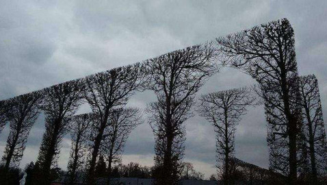 مشاهد جاذبة لعشاق الكمال في الصور