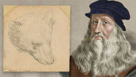 عرض رسمة نادرة (رأس الدب) للرسام دافنشي بمزاد بـ17 مليون دولار