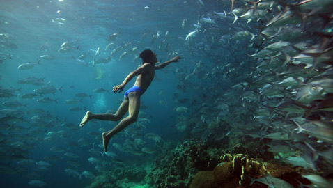 قبائل الباجاو.. كيف حولتهم طفرة جينية إلى ضفادع بشرية؟