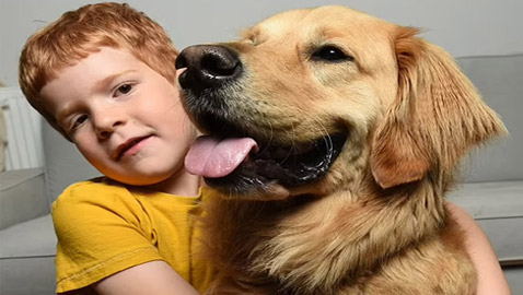 صداقة رائعة مؤثرة بين طفل كفيف وكلب مخلص يعوض الطفل عن فقدان حاسة البصر