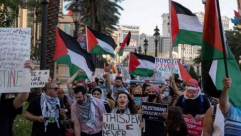 600 موسيقي عالمي يقررون مقاطعة إسرائيل والتضامن مع فلسطين