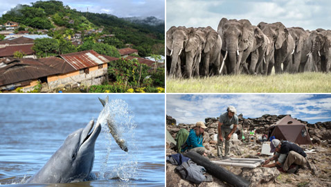 بالصور: جائزة (وايتلي) للصور الطبيعية تعلن أسماء الفائزين لعام 2021