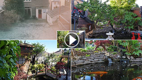 رجل يقضي 10 سنوات في تجميل فناء منزله.. أنفق 11 ألف دولار لتحويله إلى “جنة” من الأسماك والشلالات