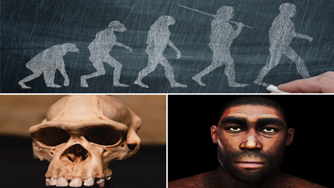 ما هي أنواع البشر الـ8 التي انقرضت؟ وكيف استطاع العلماء تحديدها؟