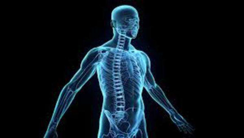 «العظمة العائمة».. وحقائق غريبة عن جسم الإنسان