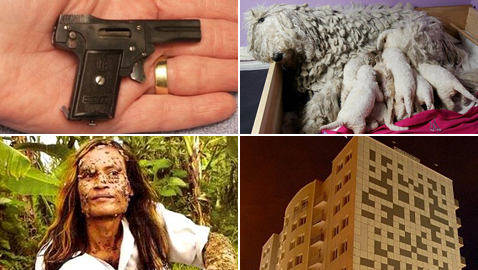 تعرفوا على أغرب الأشياء الموجودة في العالم.. صور