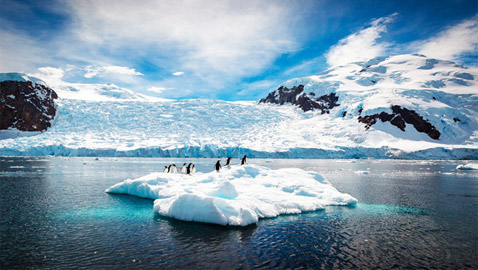 أنتاركتيكا.. ما هو مستقبل القارة القطبية الأكثر غموضا في العالم؟
