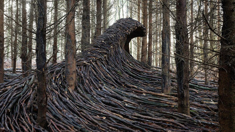 كأنها تسونامي يضرب الغابة.. ما حكاية هذه الموجات في الغابة في ألمانيا؟