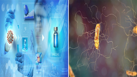 علماء يكتشفون فيروسا جديدا مفيدا للإنسان! يساهم بمكافحة عدوى البكتيريا