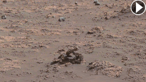 صورة لسطح المريخ تثير جدلا بناسا.. ظهر فيها دودة غريبة خارجة من الأرض