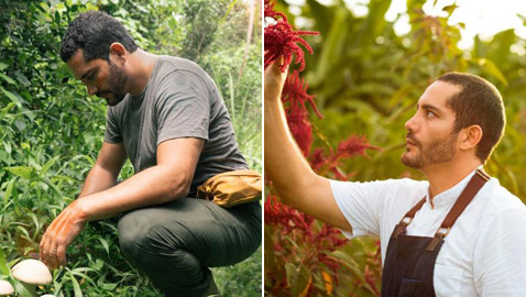 شيف ينشئ غابة صالحة للأكل بعد أن كانت أرض قاحلة.. ما سرها؟ صور