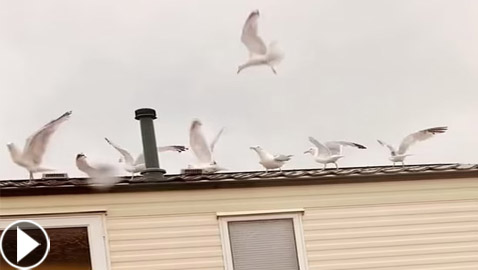 فيديو وصور: أغرب طريقة للانتقام من الجيران المزعجين.. والبادئ أظلم!