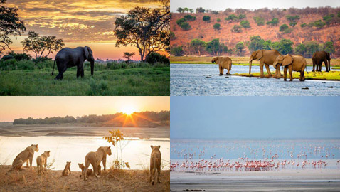 بالصور: 10 من أفضل وجهات رحلات السفاري