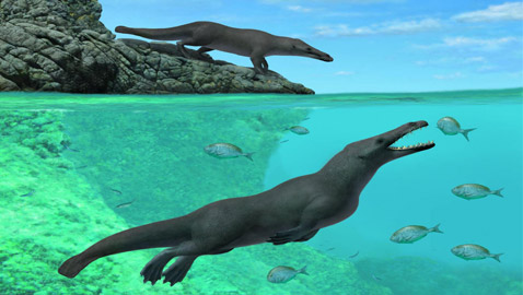 مصر.. اكتشاف حوت برمائي نادر يستطيع العيش تحت الماء وفوق اليابسة