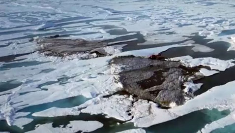 تقع بأقصى شمال العالم.. علماء يكتشفون أصغر جزيرة عن طريق الصدفة