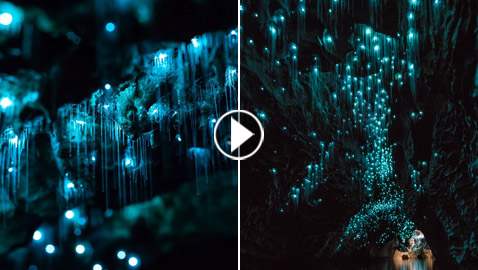 نجوم كونية مضيئة داخل كهوف غابة بدائية لم يمسها البشر تصدم العلماء