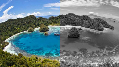 ينجيلاب.. جزيرة غريبة لا يرى سكانها إلا باللون الأبيض والأسود