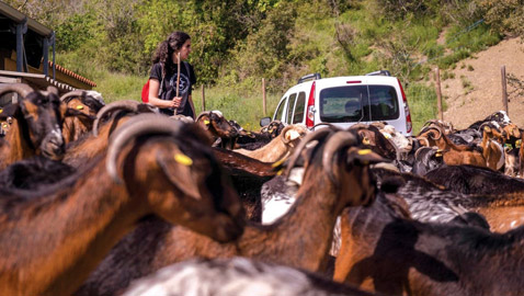 في إسبانيا.. مدرسة تعلم النساء أصول 