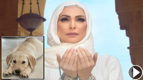 الأزهر يؤيد كلام الفنانة أمل حجازي.. هل الكلب نجس؟